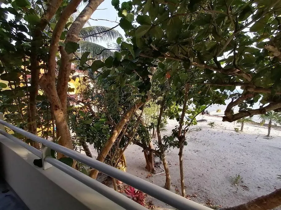 Apartment Marysol Beachfront Next To Nomads D4 Isla Mujeres Mexico