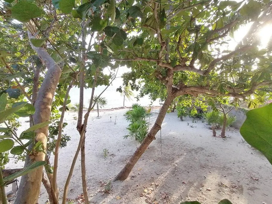 Marysol Beachfront Next To Nomads D4 Isla Mujeres