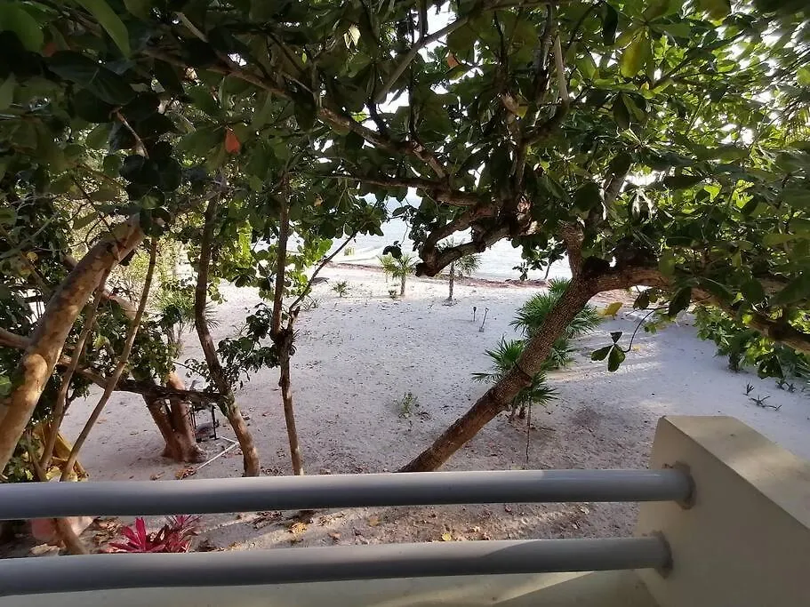 Marysol Beachfront Next To Nomads D4 Isla Mujeres 0*,