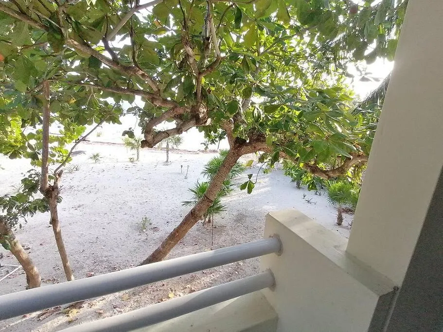 Marysol Beachfront Next To Nomads D4 Isla Mujeres Apartment