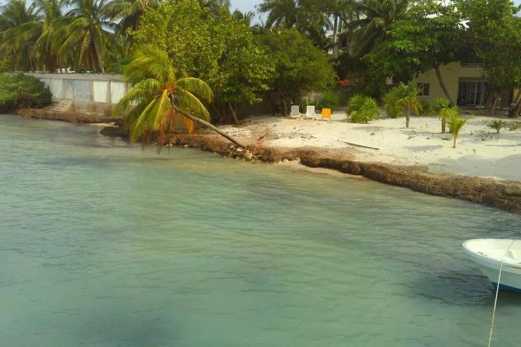 Marysol Beachfront Next To Nomads D4 Isla Mujeres Apartment